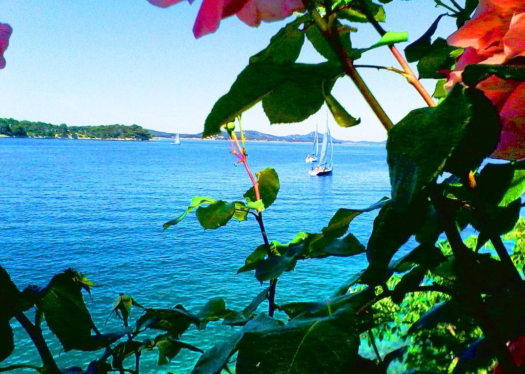 Apartmán Sea Of Eden Dubrovník Exteriér fotografie