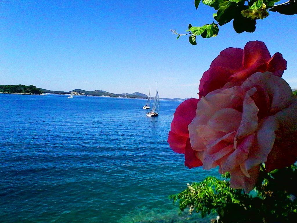 Apartmán Sea Of Eden Dubrovník Exteriér fotografie