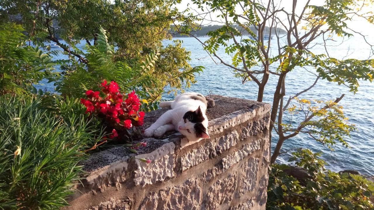 Apartmán Sea Of Eden Dubrovník Exteriér fotografie